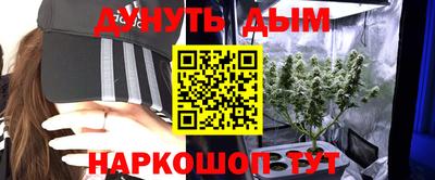 молекула духа Гагарин