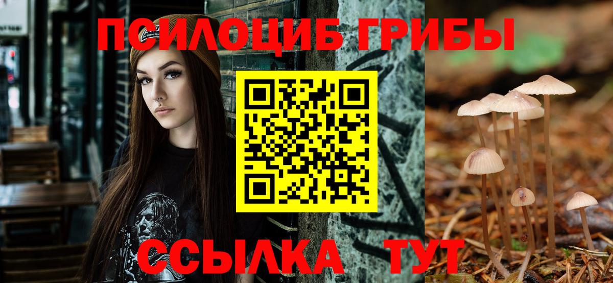Псилоцибиновые грибы прущие грибы Минусинск